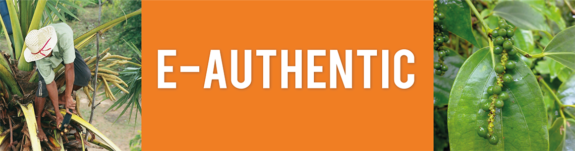 E-Authentic Shop Banner